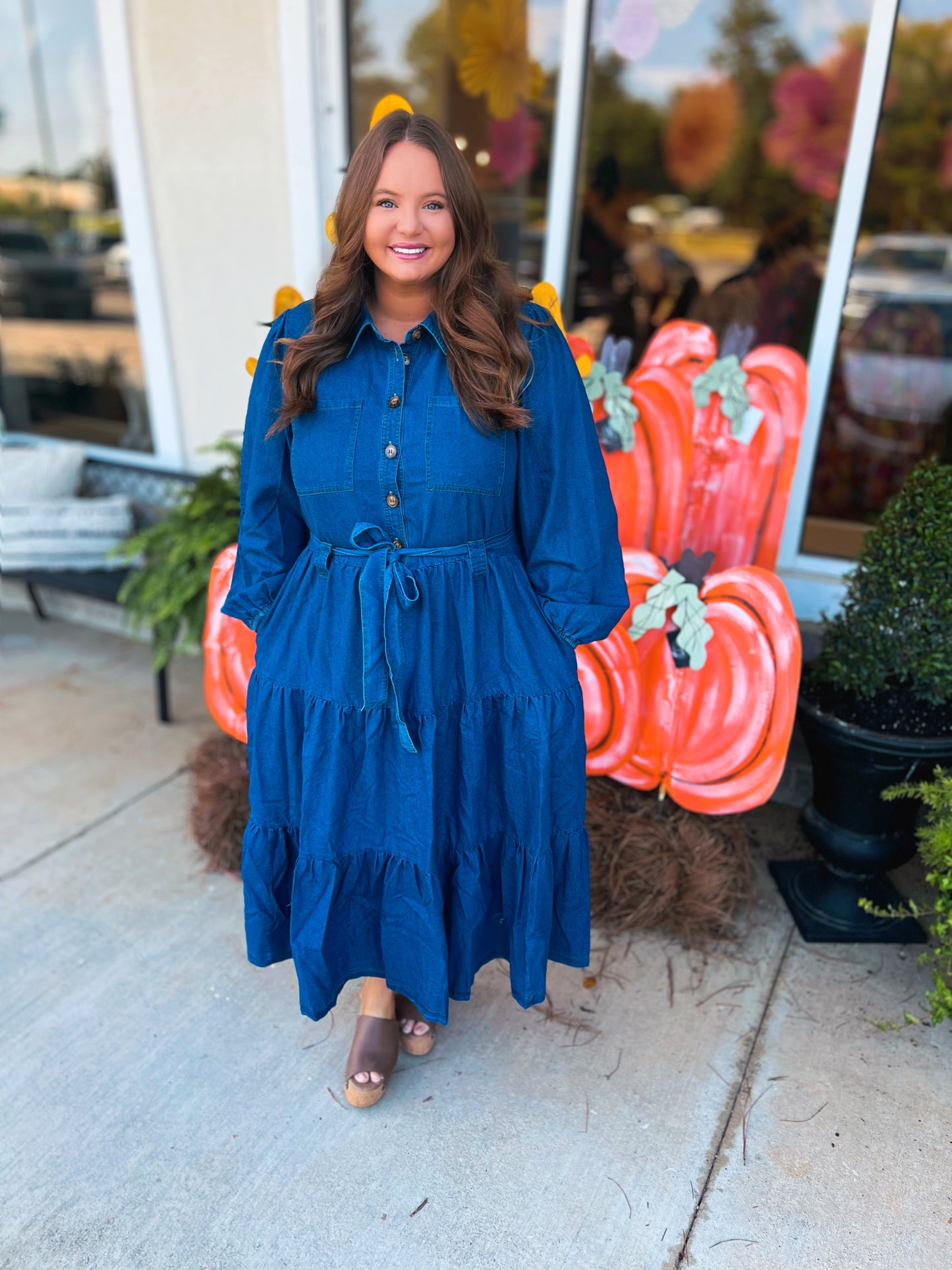 Curvy Dreaming Of Denim Midi Dress